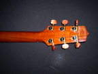 P1010058.JPG