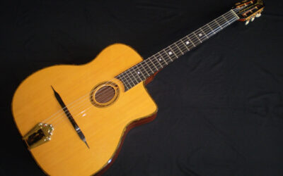 2005 Gitane D300 John Jorgenson  –  £899