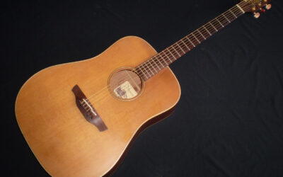 2004 Takamine AN10 – £449