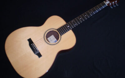 1991 Mike Vanden Custom OM – £2999