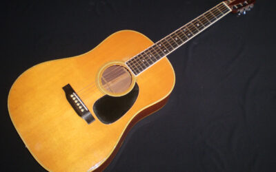 1973 Martin D35S – £3299