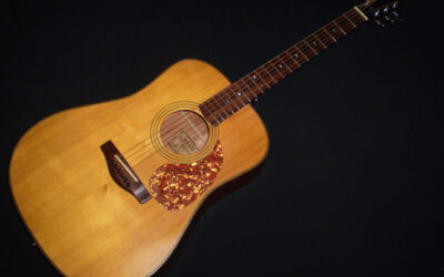 1982 Kinkade Model D  –  £1249