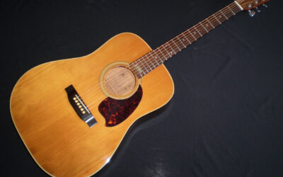 1981 Daion Mugen Junior – £699