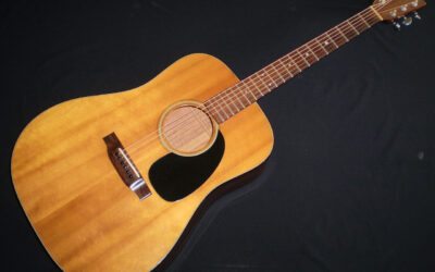 1979 Martin D18  –  £2299