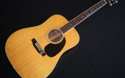 1973 Martin D35  –  £3749