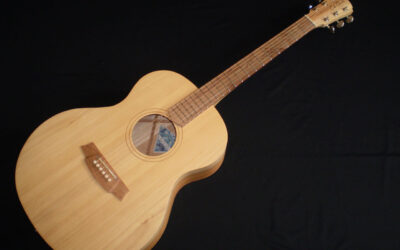 2005 Cole Clark Angel AN1E-BM – £999